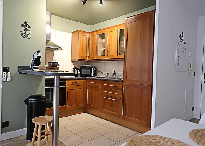 Le Cocon Des 2 Souris Proche Disneyland Paris Appartement *